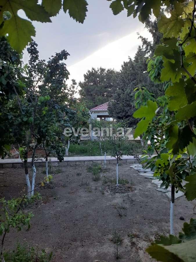 Satılır, həyət evi / bağ, 6 otaqlı, 230 m², Bakı, Sabunçu r, Savalan q.