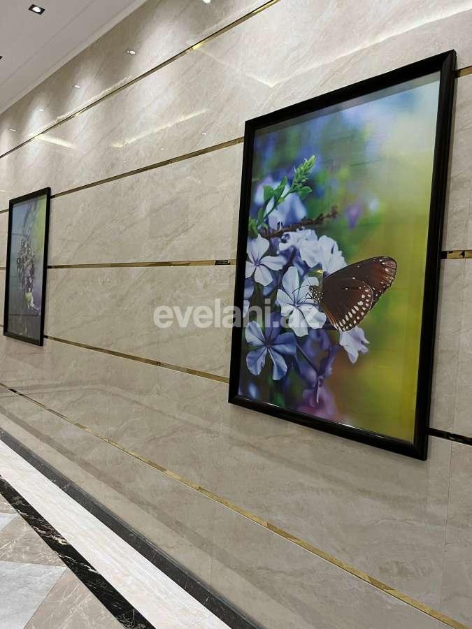 Rent, new building, 2 room, 96 m², Baku, Narimanov r, Nariman Narimanov m.