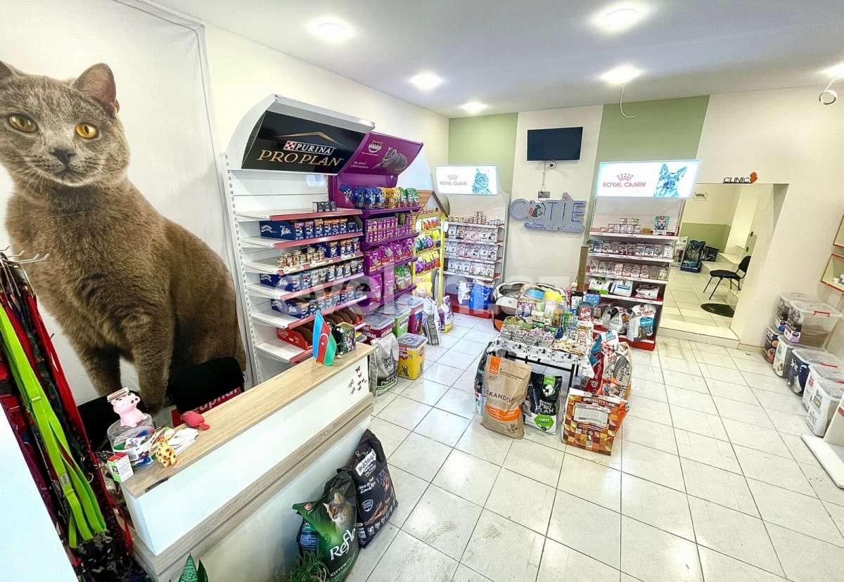 Kirayə verilir, obyekt, 90 m², Bakı, Yasamal r, Yasamal q, Elmlər Akademiyası m.