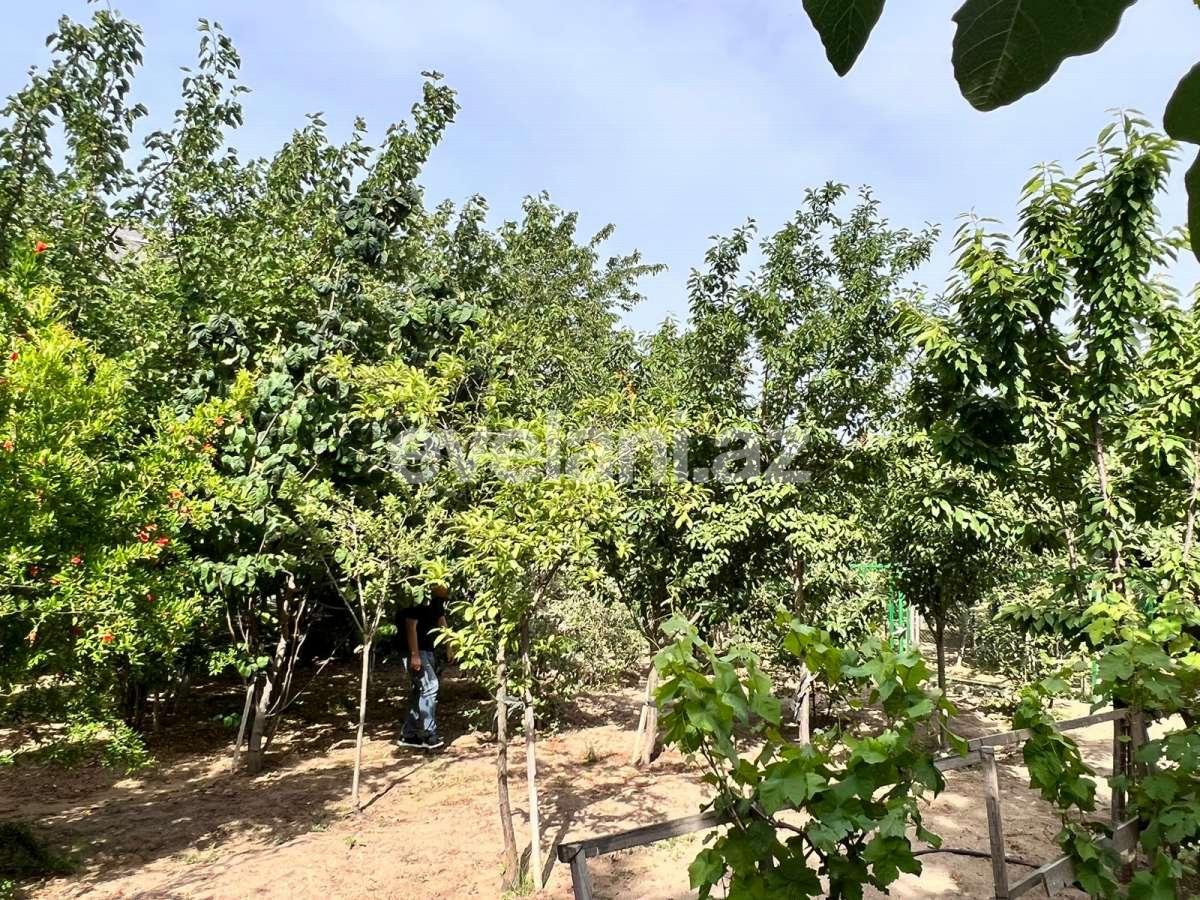Satılır, həyət evi / bağ, 7 otaqlı, 349.99 m², Bakı, Xəzər r, Dübəndi q.