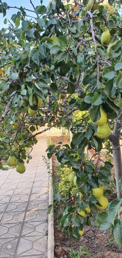 Продаётся, дом / дача, 3-комнаты, 200 m², Баку, Хазарский r, Дюбенди p.