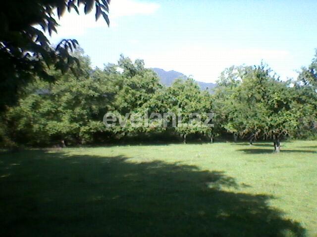 Satılır, torpaq, 130 sot, Qəbələ