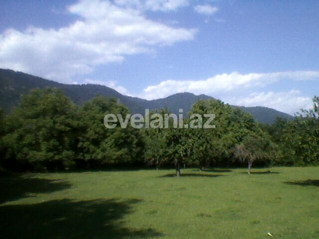 Satılır, torpaq, 130 sot, Qəbələ