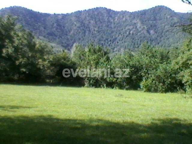 Satılır, torpaq, 130 sot, Qəbələ