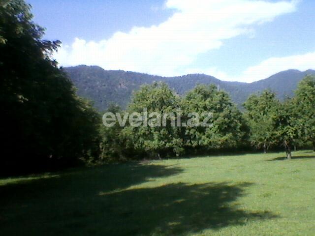 Satılır, torpaq, 130 sot, Qəbələ