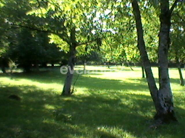 Satılır, torpaq, 130 sot, Qəbələ