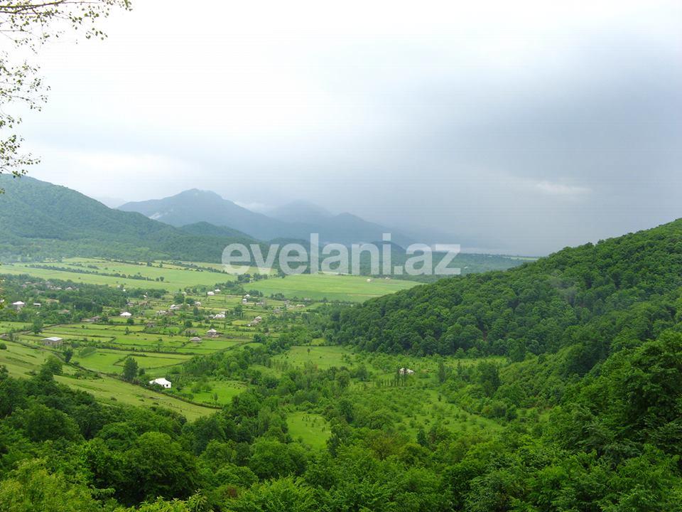 Satılır, torpaq, 130 sot, Qəbələ