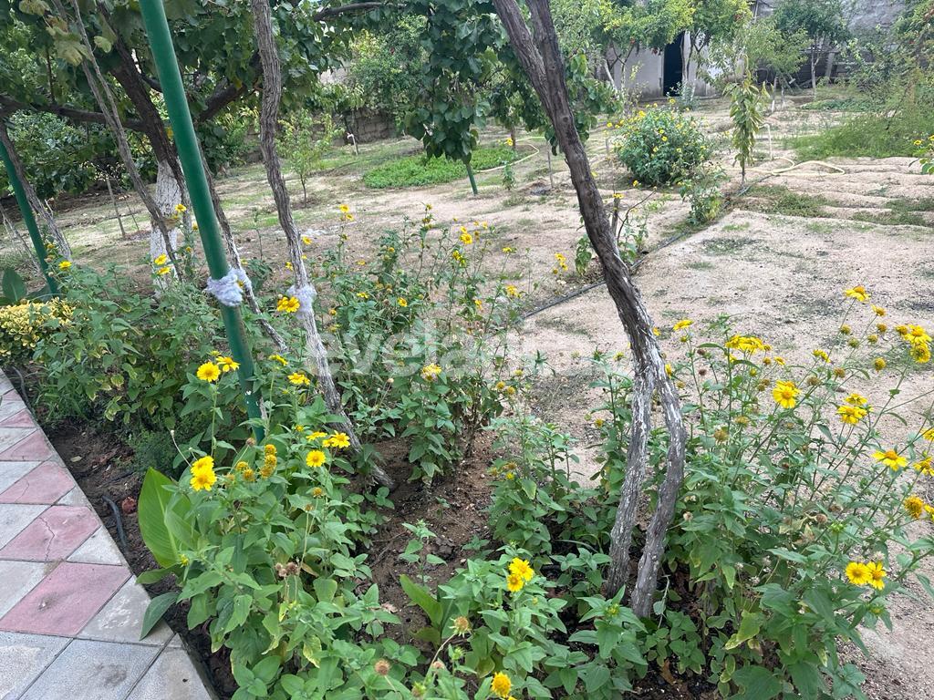 Sale, garden / house, 6 room, 200 m², Baku, Khazar r, Buzovna d.