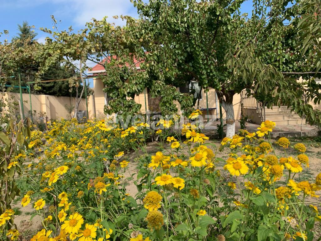Sale, garden / house, 6 room, 200 m², Baku, Khazar r, Buzovna d.