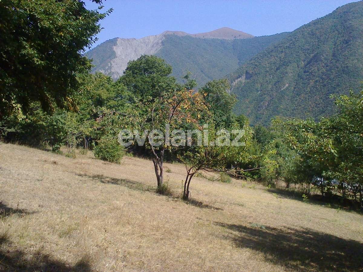 Satılır, torpaq, 8 sot, Şəki