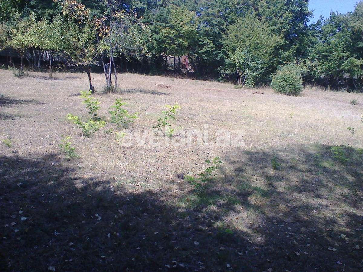 Satılır, torpaq, 8 sot, Şəki