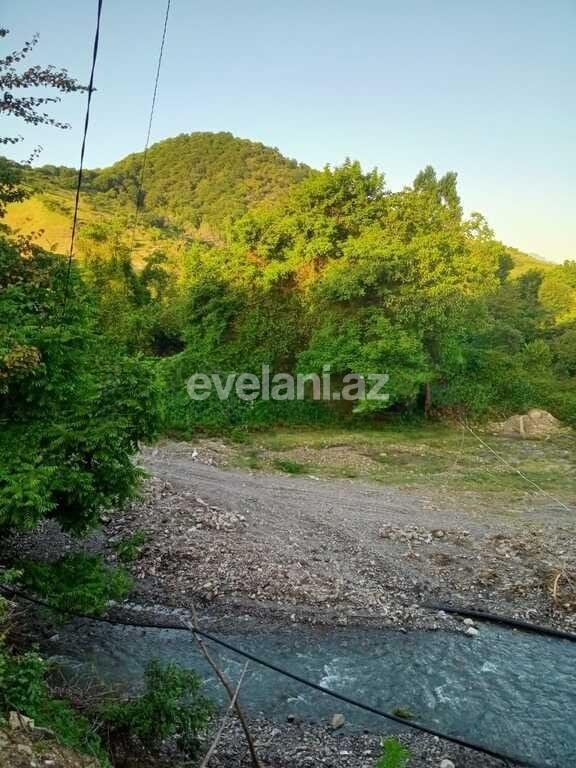 Satılır, torpaq, 6 sot, Qəbələ