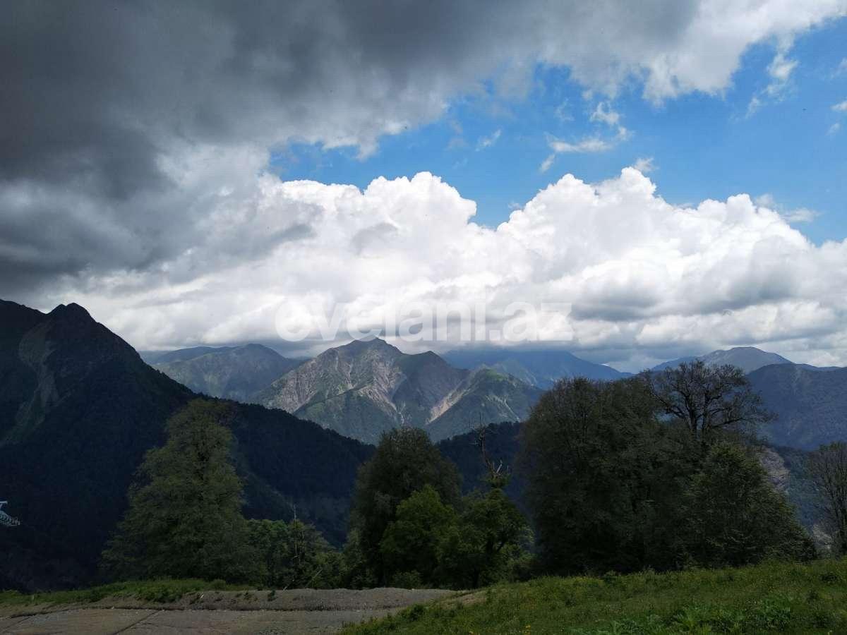 Satılır, torpaq, 6 sot, Qəbələ