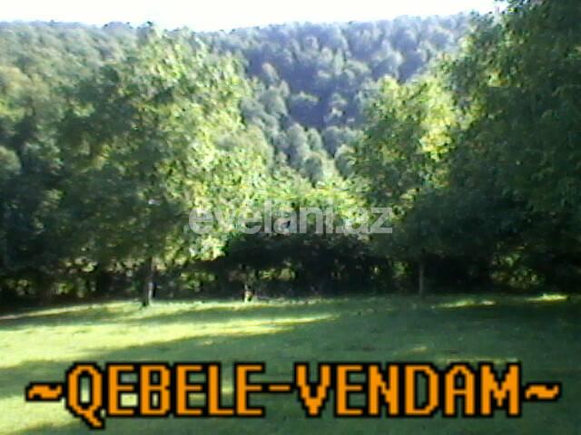 Satılır, torpaq, 130 sot, Qəbələ