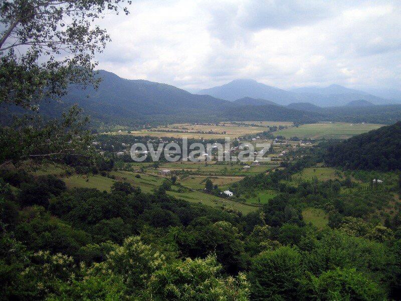 Satılır, torpaq, 130 sot, Qəbələ