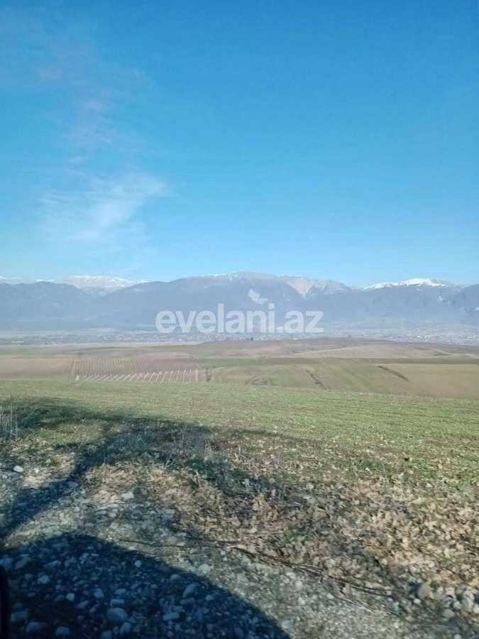 Satılır, torpaq, 20 sot, İsmayıllı