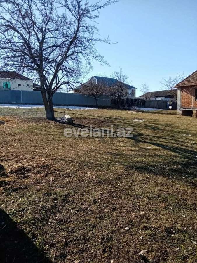 Satılır, torpaq, 20 sot, İsmayıllı