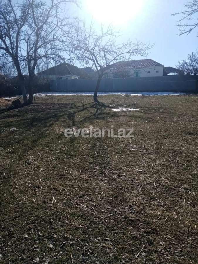 Satılır, torpaq, 20 sot, İsmayıllı