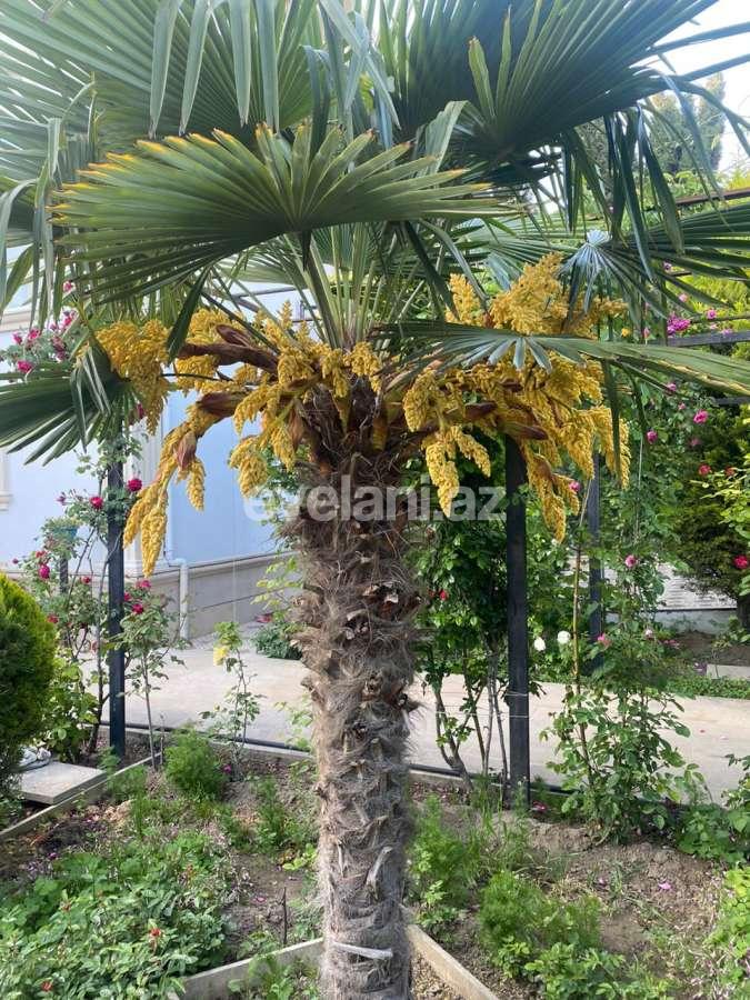 Satılır, villa, 6 otaqlı, 450 m², Bakı, Xətai r.