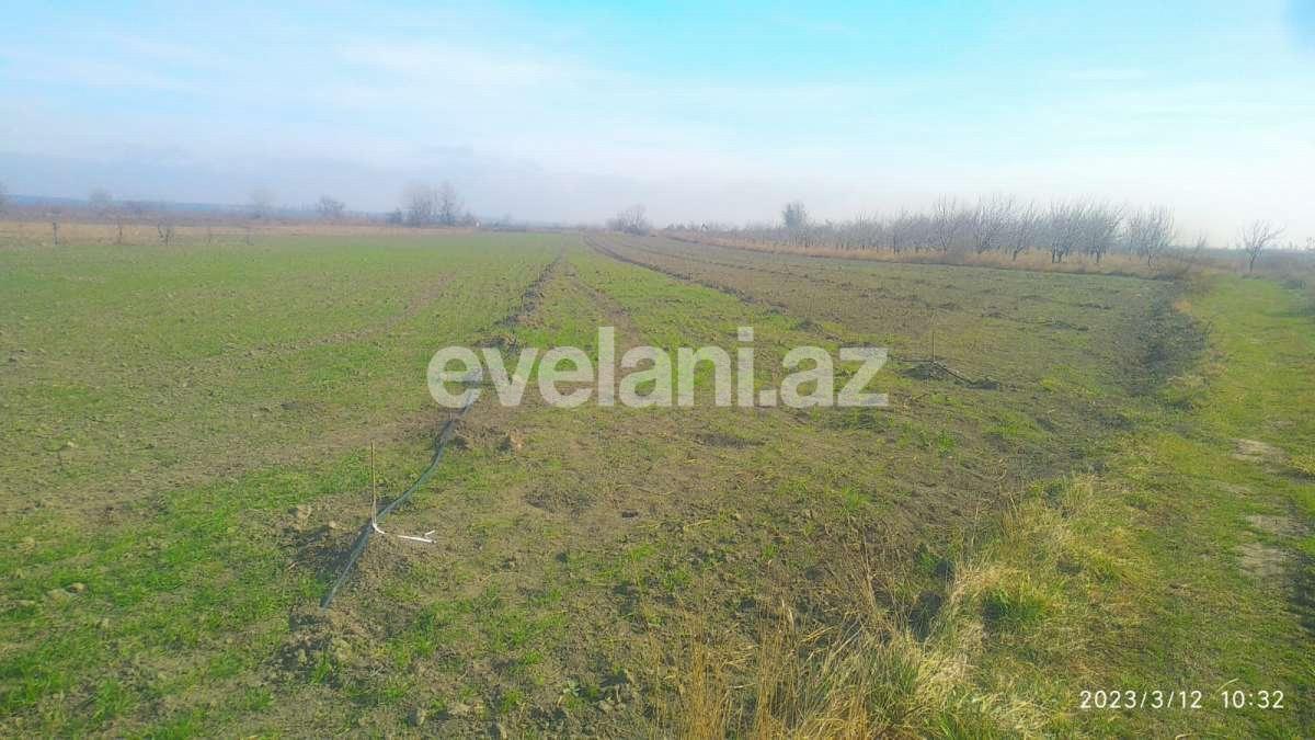 Satılır, torpaq, 460 sot, Xaçmaz