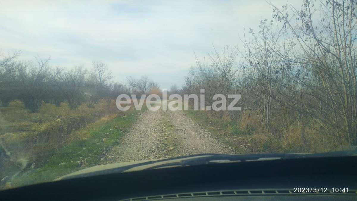 Satılır, torpaq, 460 sot, Xaçmaz