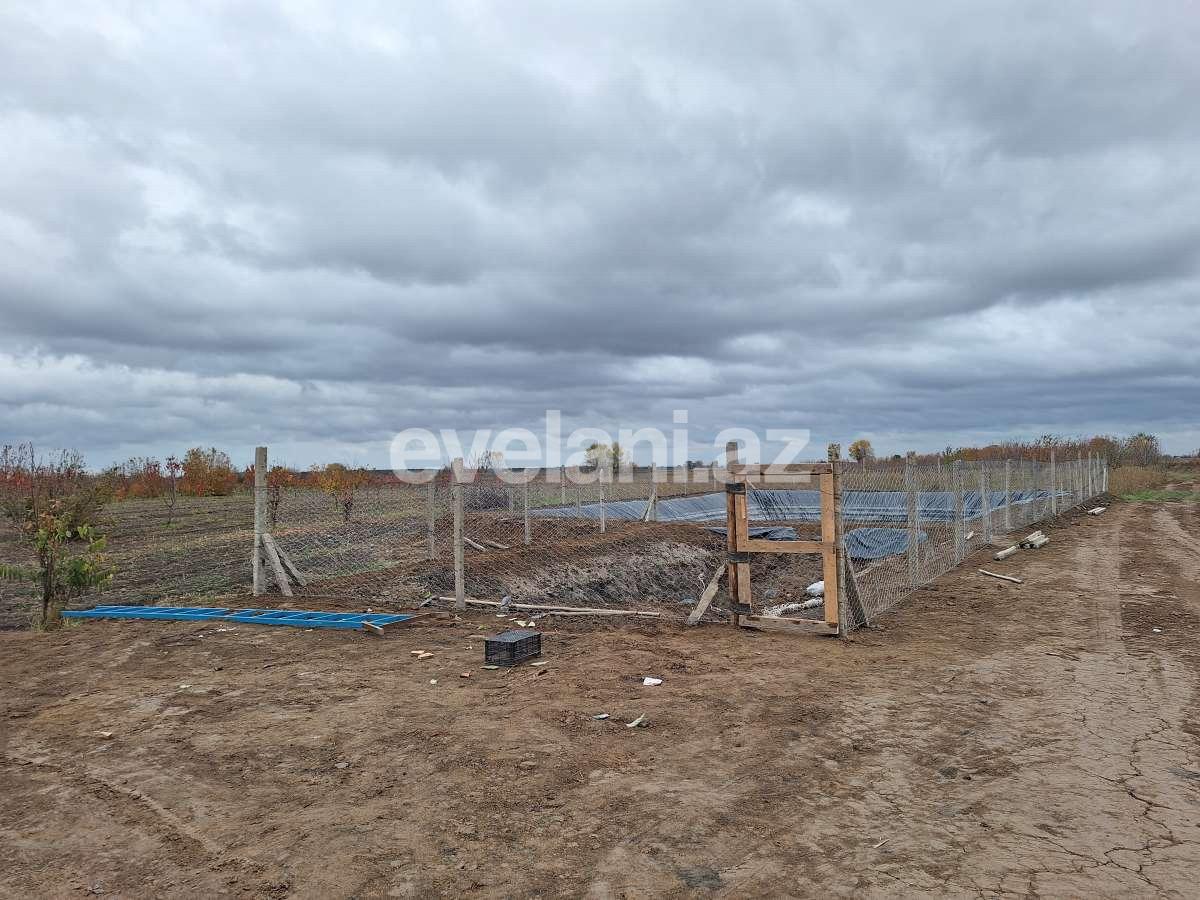 Satılır, torpaq, 460 sot, Xaçmaz