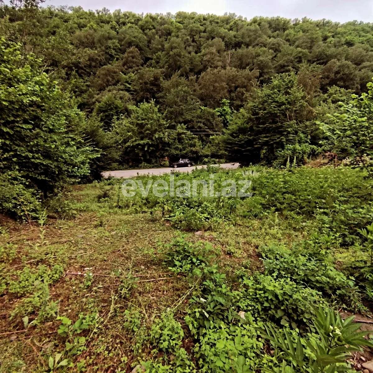 Satılır, torpaq, 8 sot, Qusar