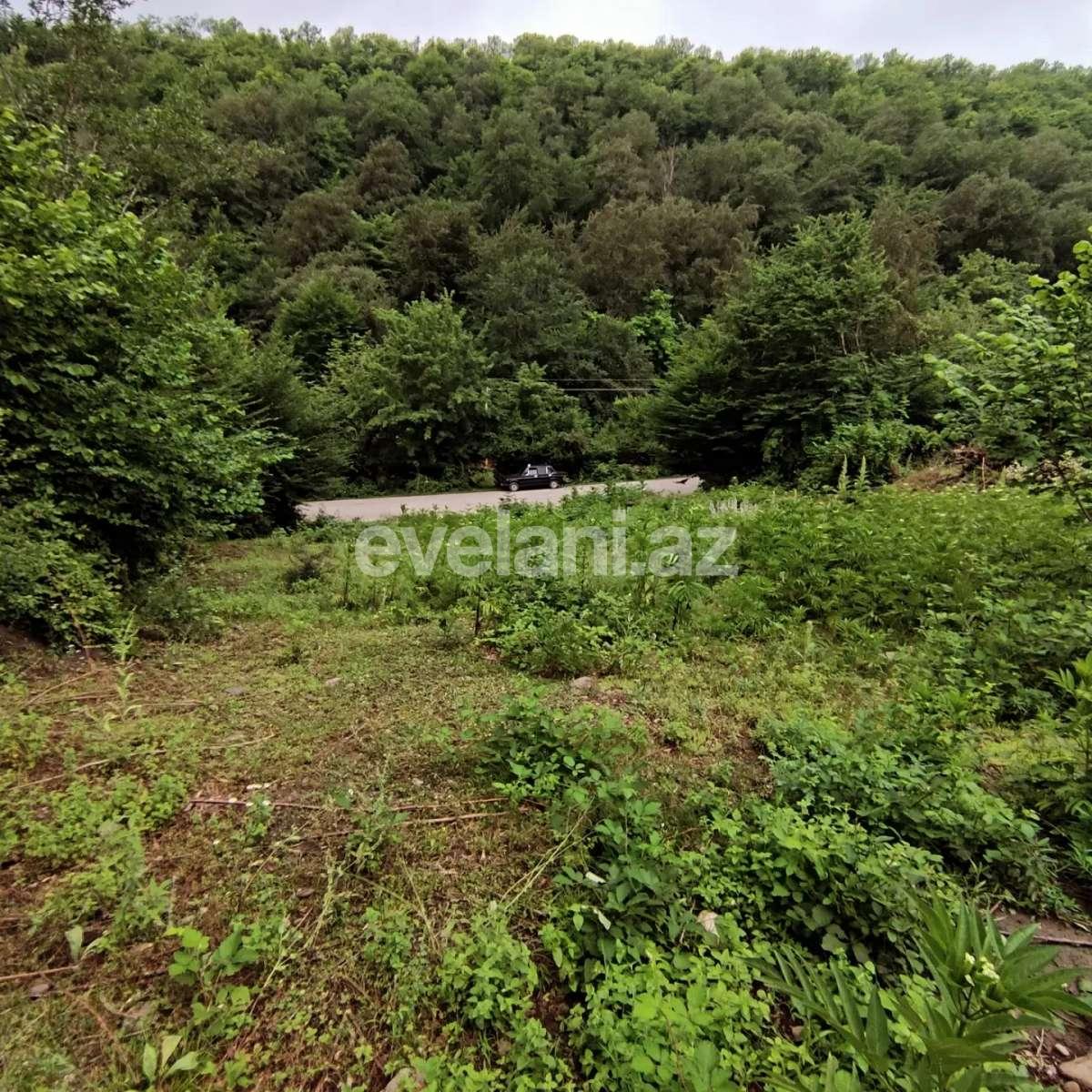 Satılır, torpaq, 8 sot, Qusar