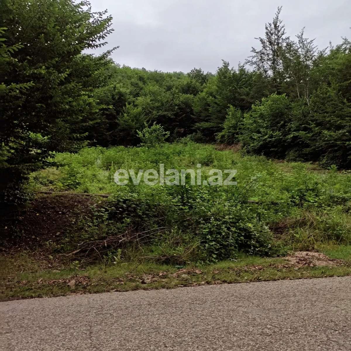 Satılır, torpaq, 8 sot, Qusar