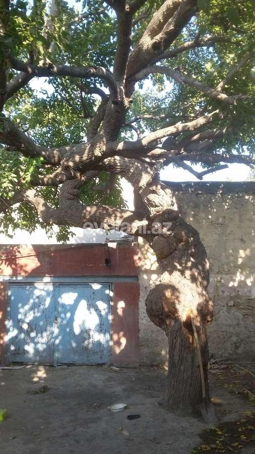 Satılır, həyət evi / bağ, 4 otaqlı, 110 m², Bakı, Sabunçu r, Zabrat q.