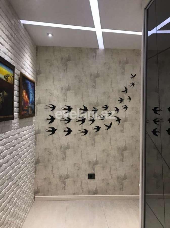 Kirayə verilir, yeni tikili, 2 otaqlı, 70 m², Bakı, Xətai r, Şah İsmayıl Xətai m.