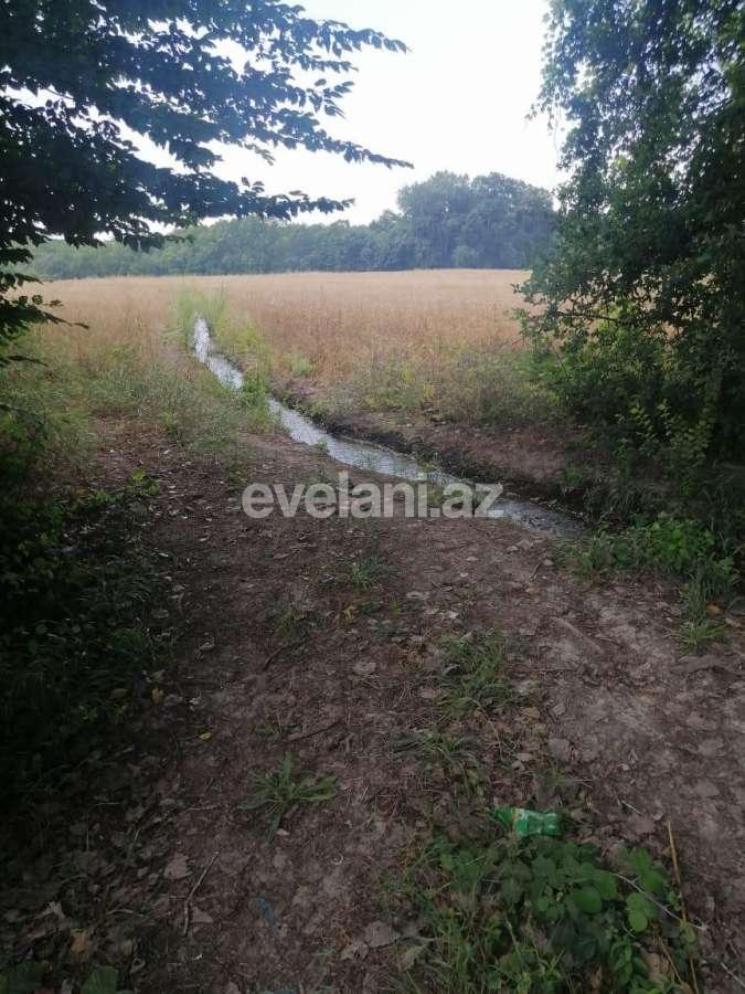 Satılır, torpaq, 850 sot, Xaçmaz