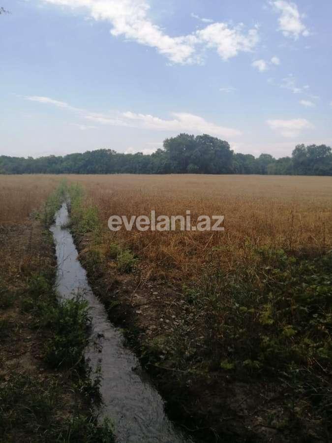 Satılır, torpaq, 850 sot, Xaçmaz