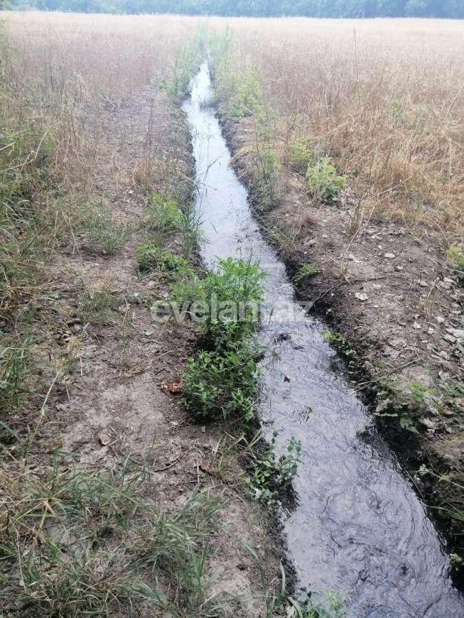 Satılır, torpaq, 850 sot, Xaçmaz