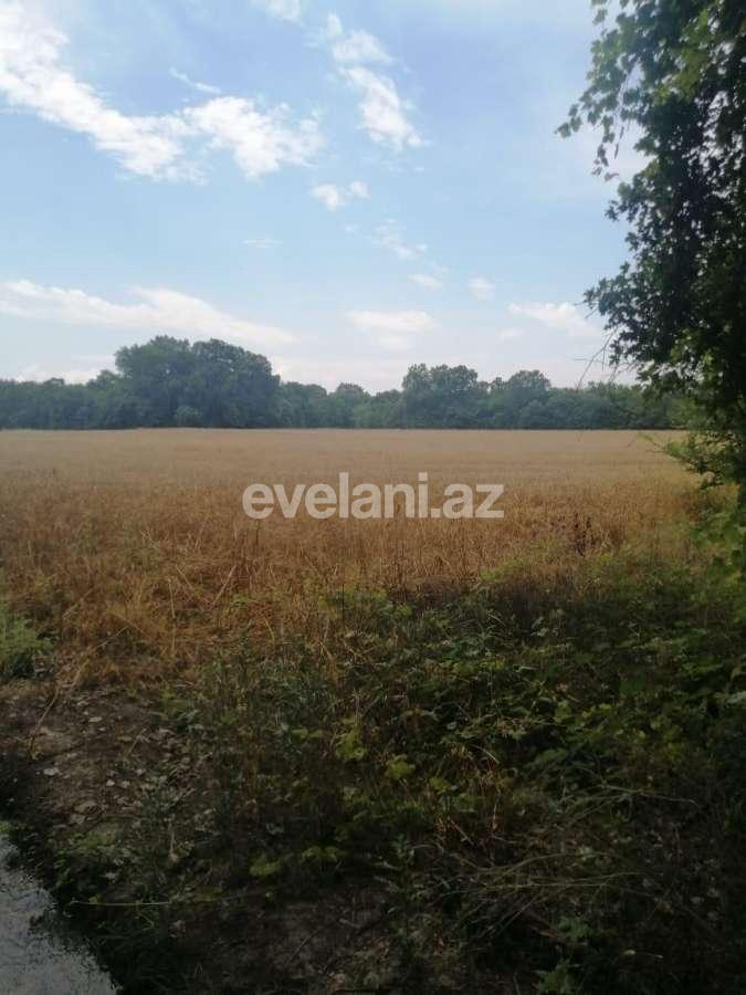 Satılır, torpaq, 850 sot, Xaçmaz