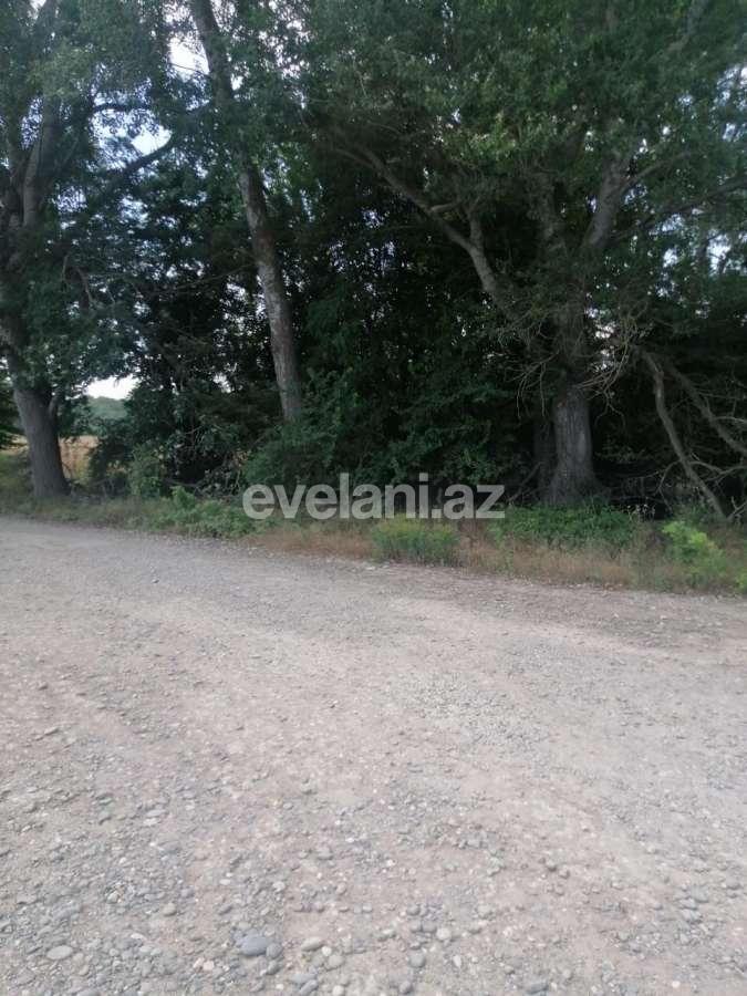 Satılır, torpaq, 850 sot, Xaçmaz