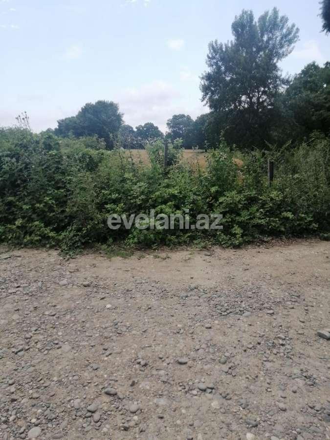 Satılır, torpaq, 850 sot, Xaçmaz