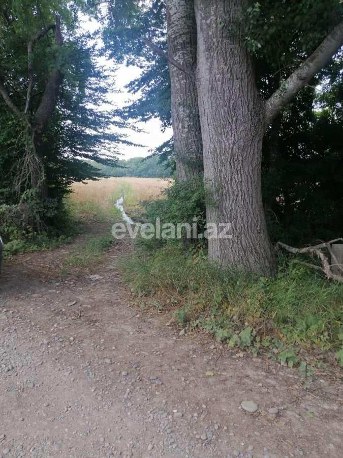 Satılır, torpaq, 850 sot, Xaçmaz