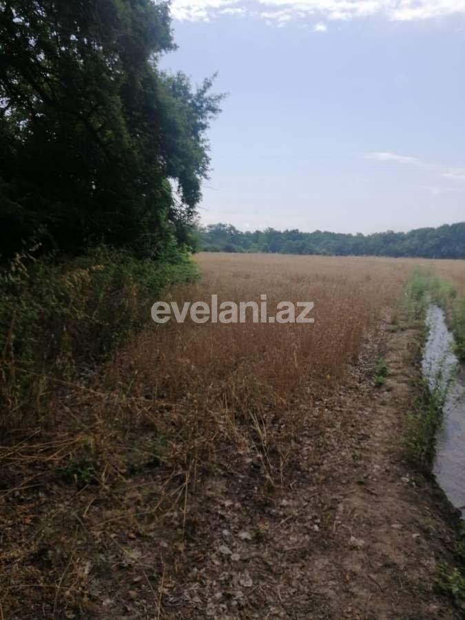 Satılır, torpaq, 850 sot, Xaçmaz
