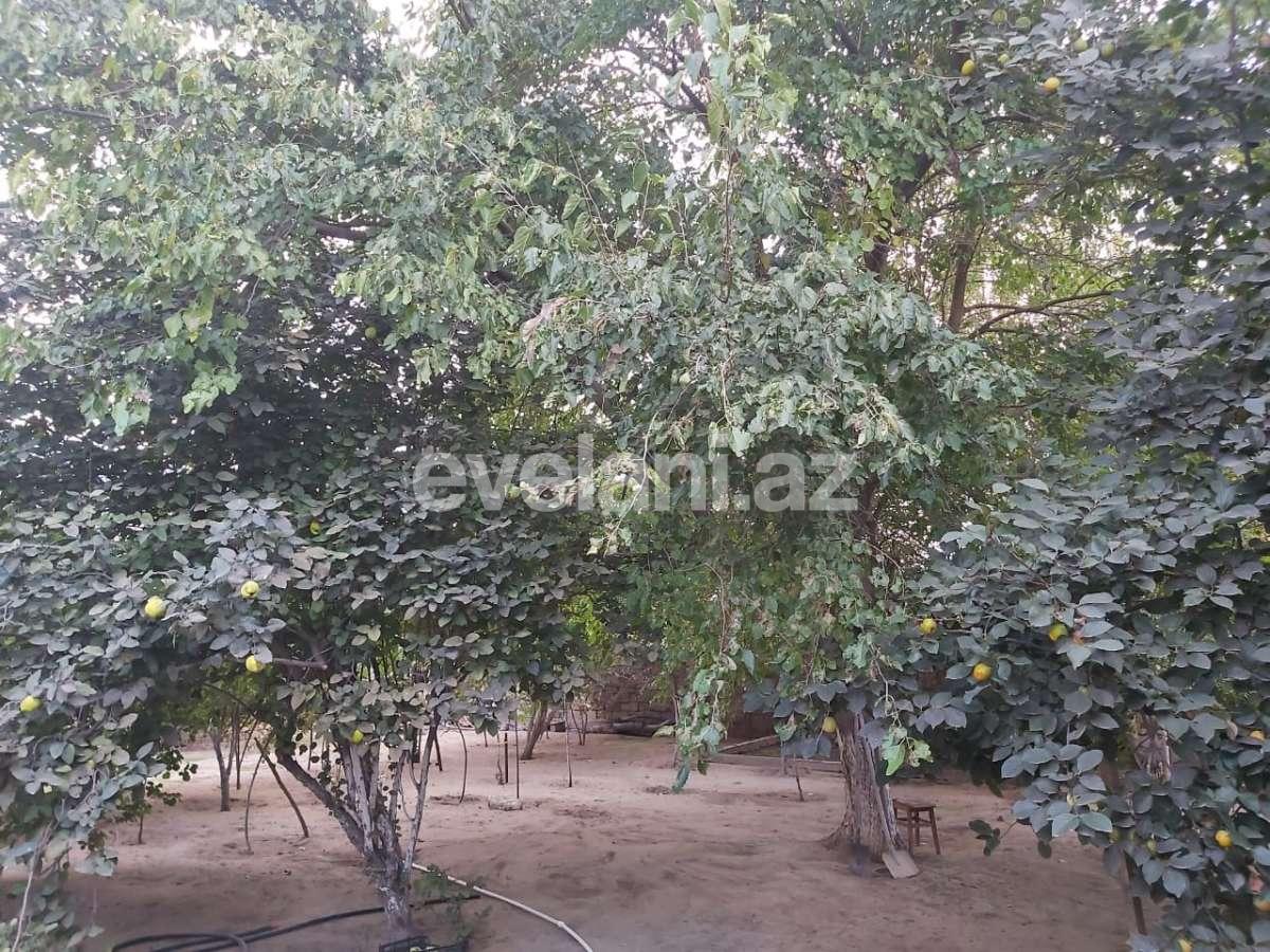 Sale, garden / house, 3 room, 144 m², Baku, Sabunchu r, Mashtaga d.