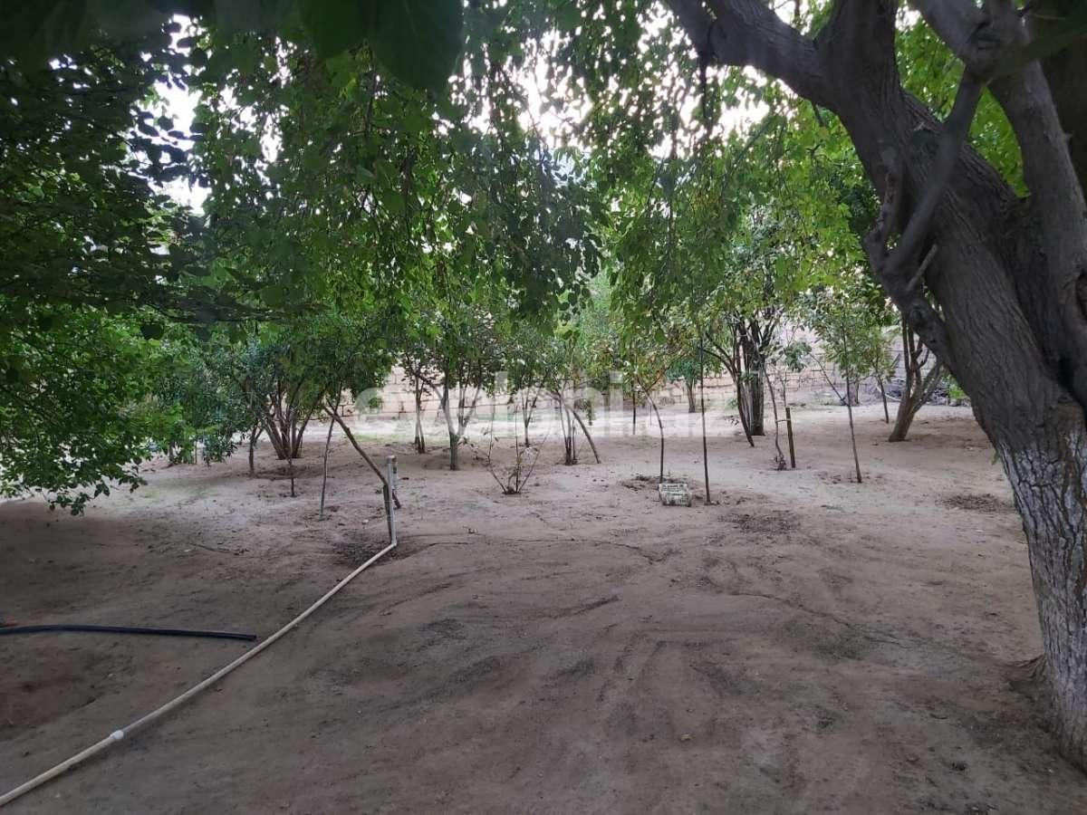 Sale, garden / house, 3 room, 144 m², Baku, Sabunchu r, Mashtaga d.