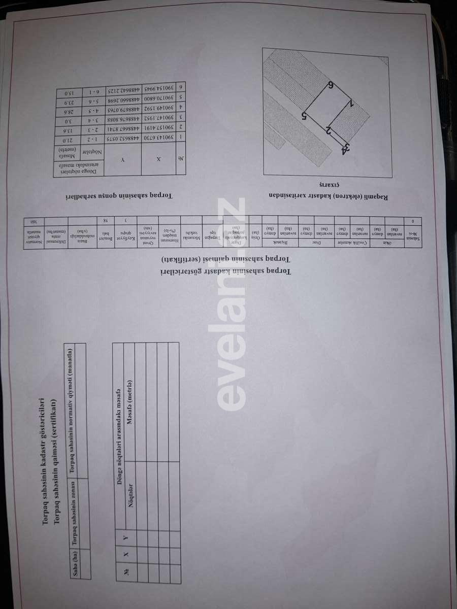 Satılır, torpaq, 4 sot, Bakı, Abşeron r, Saray q.