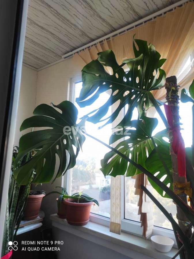 Satılır, köhnə tikili, 3 otaqlı, 70 m², Bakı, Suraxanı r, Qaraçuxur q.