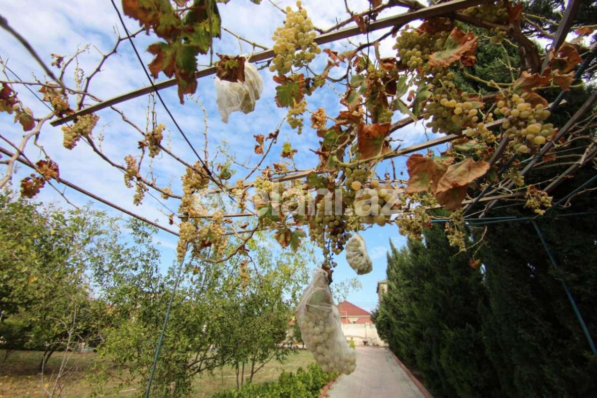Satılır, həyət evi / bağ, 7 otaqlı, 499.99 m², Bakı, Xəzər r, Şağan q, Koroğlu m.