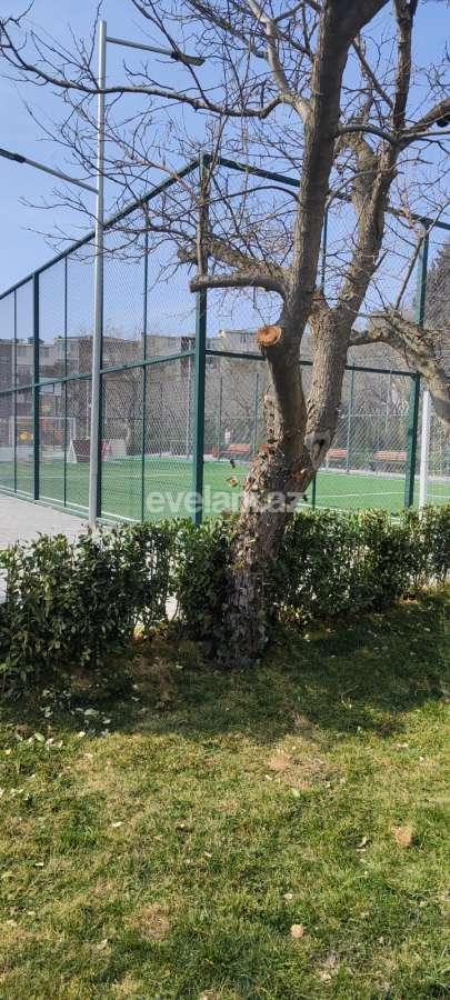 Сдаётся, новостройка, 1-комнаты, 55 m², Баку, Хатаинский r, Ази Асланова p, Ази Асланов m.