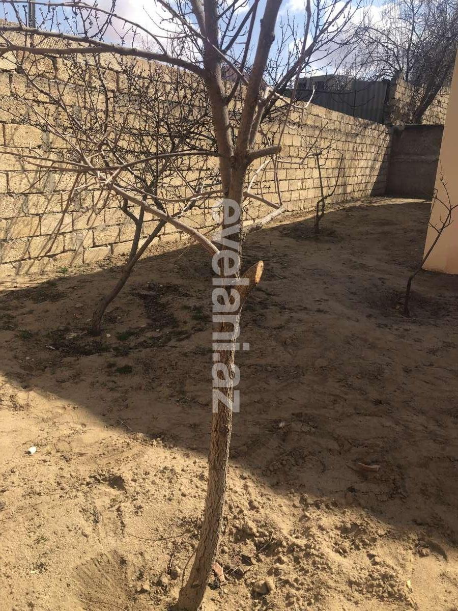 Satılır, həyət evi / bağ, 3 otaqlı, 80 m², Bakı, Abşeron r, Saray q.