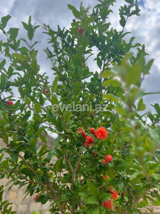 Satılır, həyət evi / bağ, 3 otaqlı, 135 m², Bakı, Abşeron r, Novxanı q.