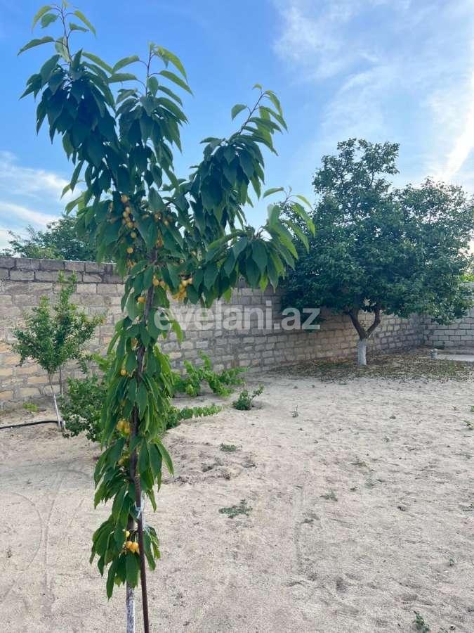 Satılır, həyət evi / bağ, 3 otaqlı, 135 m², Bakı, Abşeron r, Novxanı q.