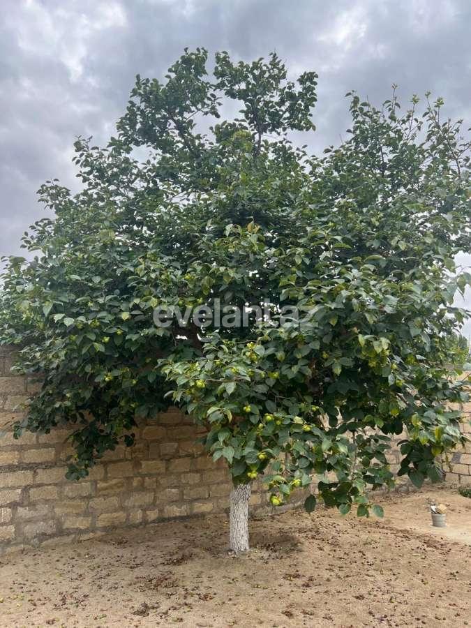 Satılır, həyət evi / bağ, 3 otaqlı, 135 m², Bakı, Abşeron r, Novxanı q.