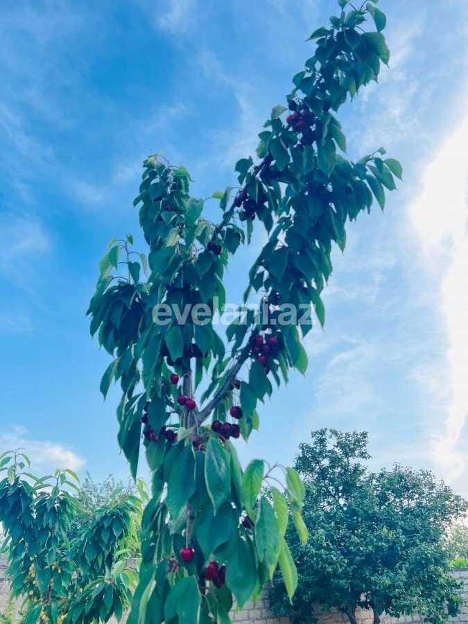 Satılır, həyət evi / bağ, 3 otaqlı, 135 m², Bakı, Abşeron r, Novxanı q.